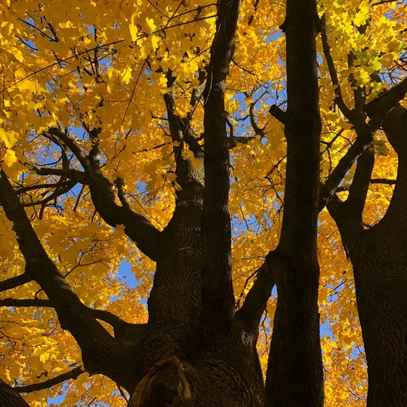 Meet your Posher, Stephanie - Picture 1 of 1